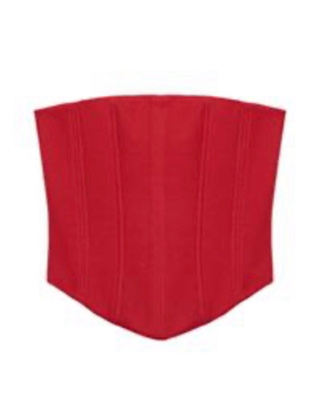 Zara Corset Top With Back Tie Size Medium NWT